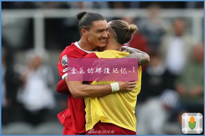 舍瓦的辉煌记忆_1